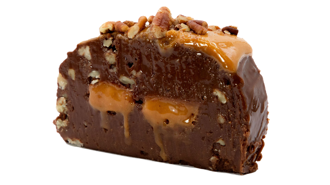 Turtle Fudge