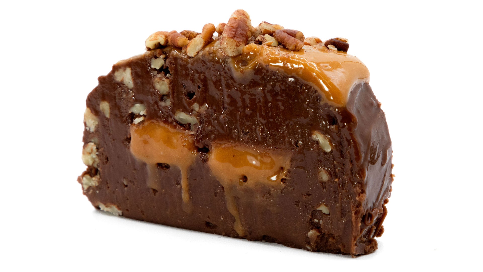 Turtle Fudge