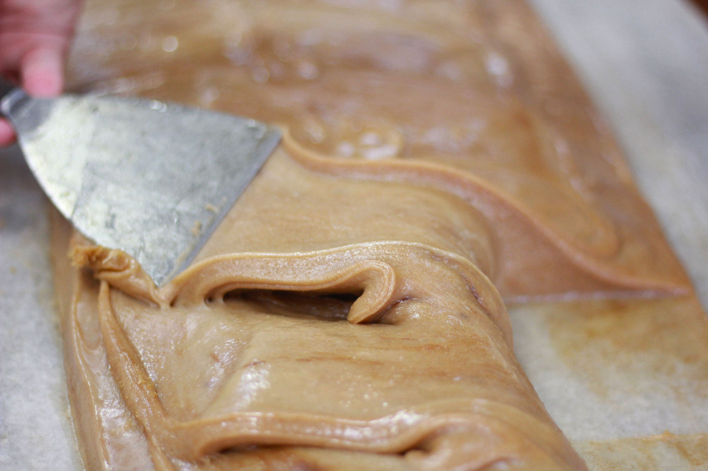 Cinnabun Fudge